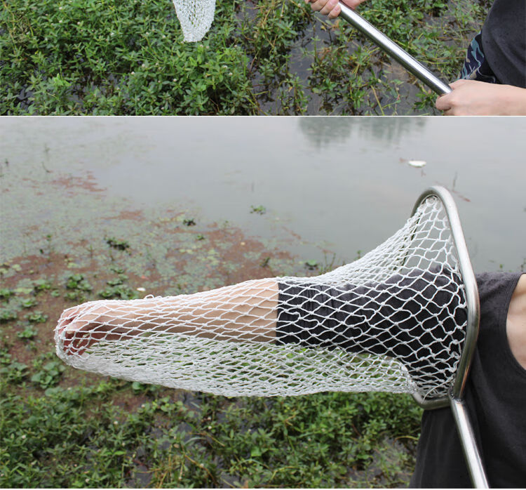 加粗大物巨物垂钓不锈钢抄网双圈网兜养殖餐馆捞鱼抄网头抄子密黄布