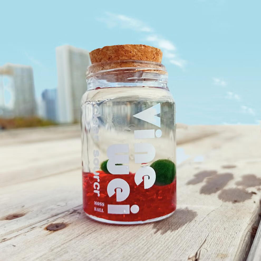 海藻球能量瓶微景观室内水培植物玻璃瓶创意迷你盆栽球藻水生绿植红色