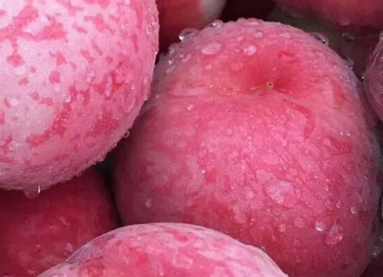 正宗甘肃天水秦安撕皮水蜜桃新鲜桃子水果脆桃毛桃王蜜桃当季现摘产地