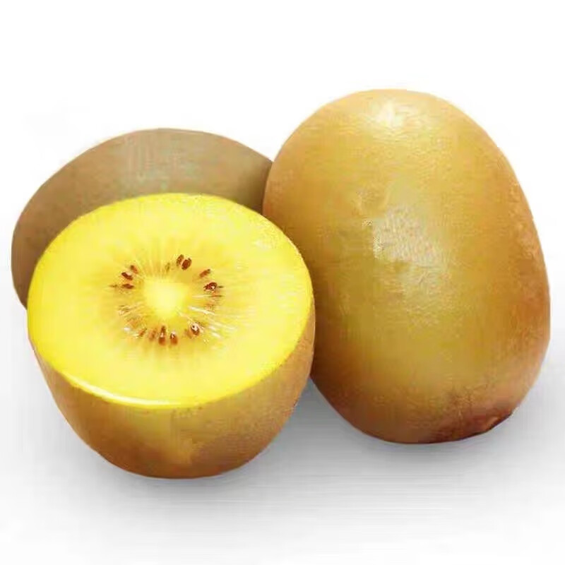 四川金桃黄心猕猴桃新鲜当季水果奇异果应季金果弥猴桃整箱时令 中果