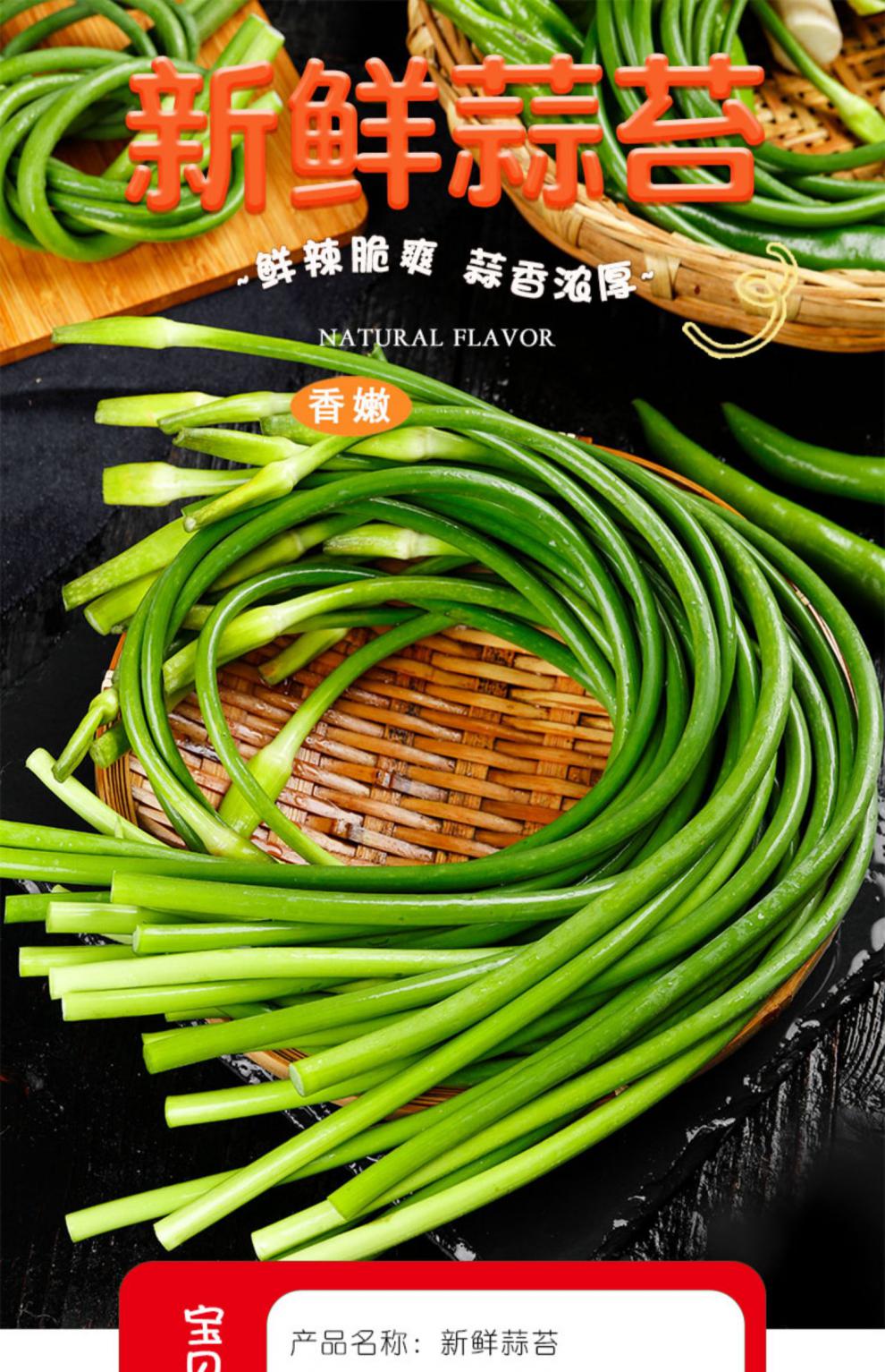 【优选好物】2022河南新鲜本地红帽蒜苔5斤新蒜台蒜苗嫩蒜毫蒜薹10
