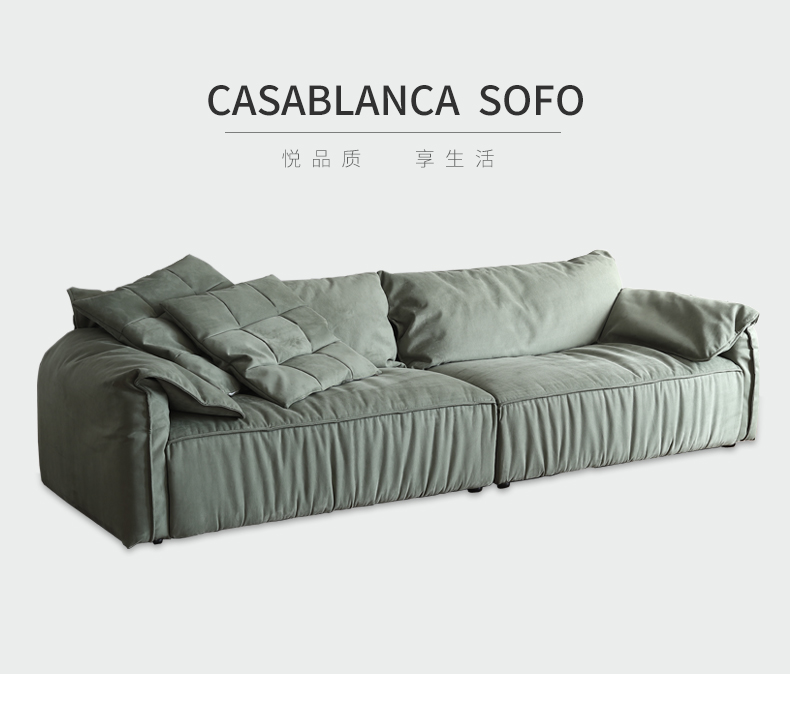 2022年新款baxter大象耳朵沙发 布艺沙发小户型客厅现代简约轻奢意式极简三人位直排沙发 大象耳朵沙发【磨砂科技布】 单人位【130*105*80cm】