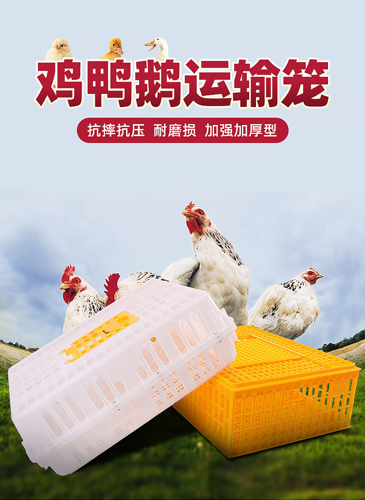 运输塑料鸡鸭鹅兔笼定制 科威顿 10斤-元宝型黄白色鸡笼【图片 价格