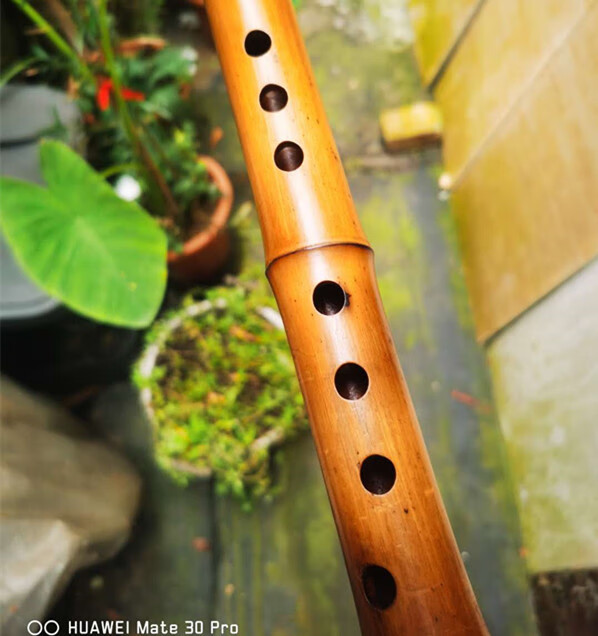 珍藏精品一节唐口南箫丁治国制桂竹外切口萧八孔六孔gf演奏吹奏乐器