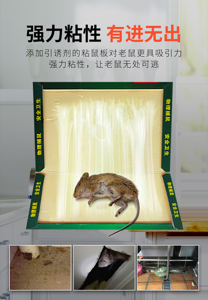 金鹿老鼠贴强力粘鼠板捕鼠器灭鼠器老鼠胶家用老鼠粘板老鼠强力粘