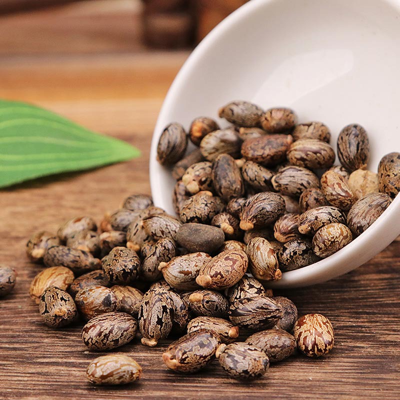 北京同仁堂蓖麻子中药材500g克蓖麻仁大麻子红大麻子精选蓖麻籽可打粉