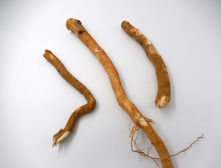 臭椿天根 椿树根 香椿树根 椿根中药材500克一斤椿白根春树根【图片