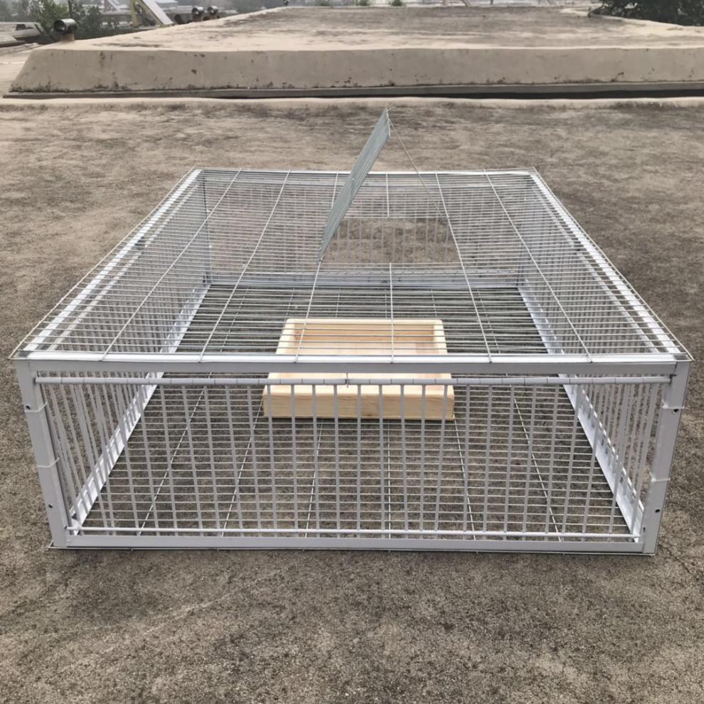 捕鸡自动网捕鸽神器收鸽子笼抓鸽子笼天落笼鸡鸭鹅捕捉逮鸽只进不出