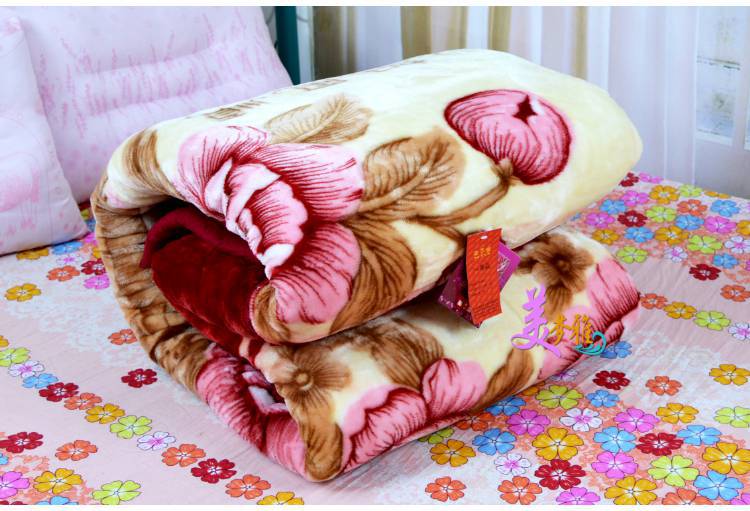 毛毯 美雅冬季双层加厚拉舍尔毛毯法兰绒保暖被子学生毯子单人双人盖