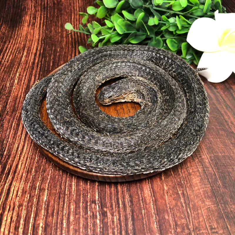 特级四川乌梢蛇中材 乌蛇 乌梢 58一整条酒乌梢蛇 .