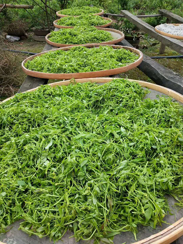 秋博源新茶张家界野生莓茶藤茶霉茶长寿藤特级龙须芽尖咽喉 200g一(2