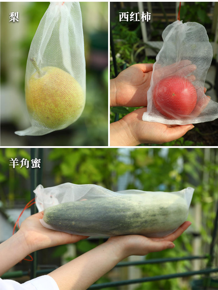 防虫防鸟网袋果树瓜果水果蔬菜葡萄丝瓜西瓜尼龙套袋神器专用保护1525