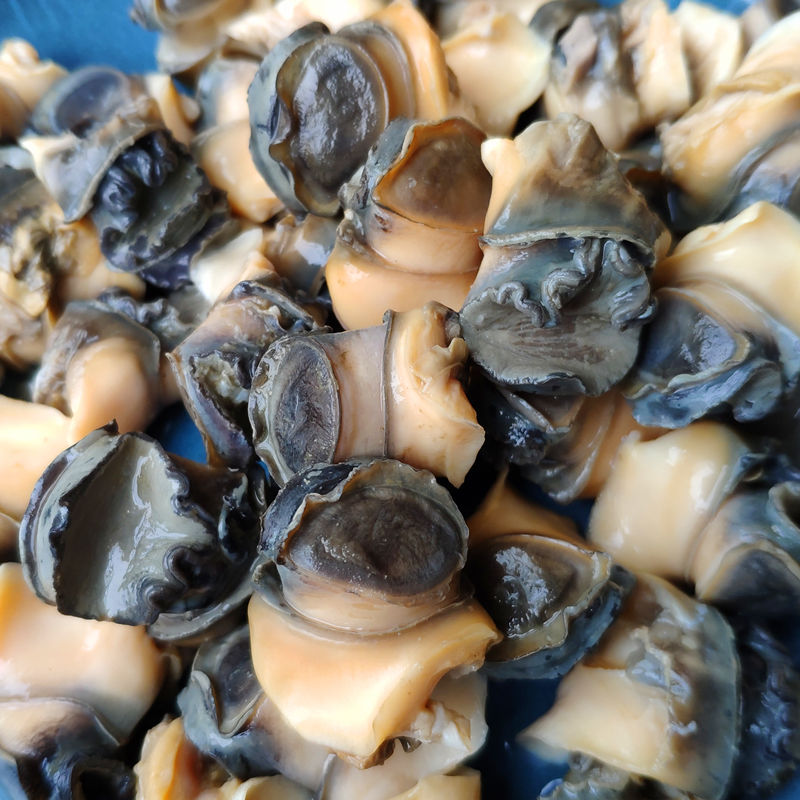 北土特产新鲜大田螺肉螺丝肉螺蛳肉现挖螺肉烧烤肉石螺肉鲜木1斤