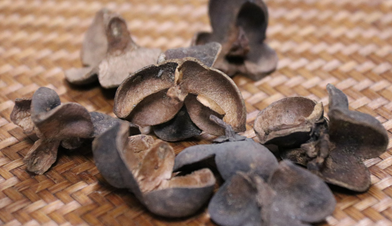 六堡茶果壳的作用与功效-六堡茶的功效与作用-黑石山六堡茶