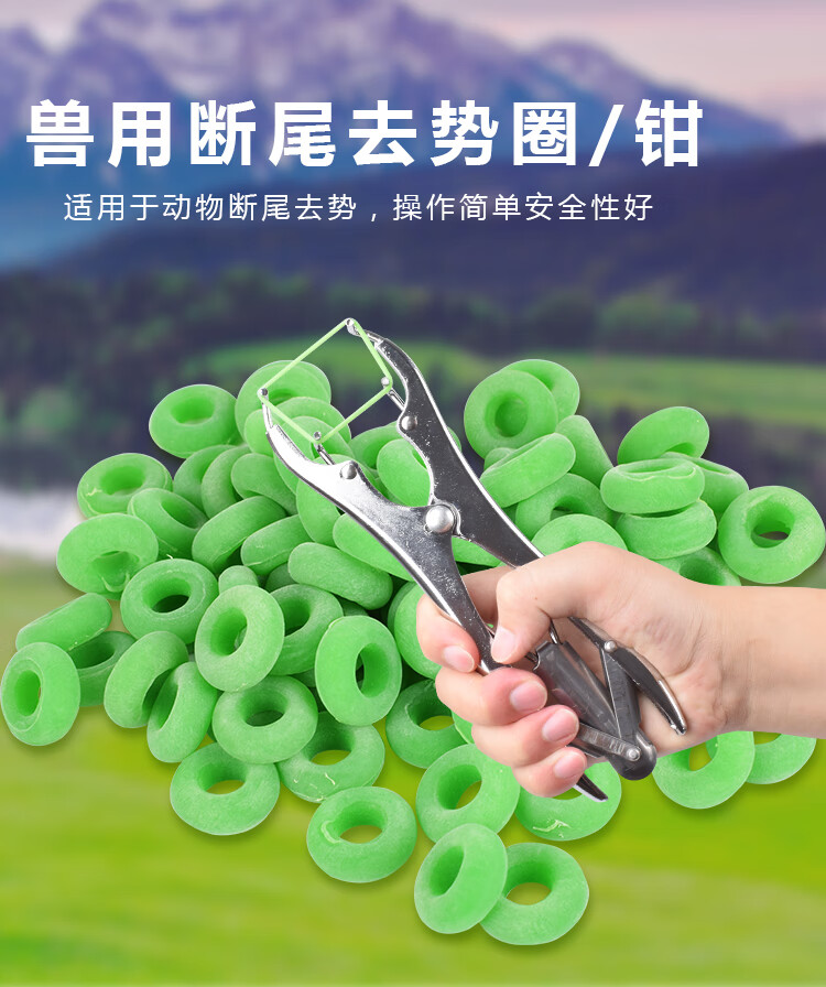 定制断尾钳羊用断尾圈断尾器去势圈钳绵羊猪用断尾器羊尾巴夹子扩张钳
