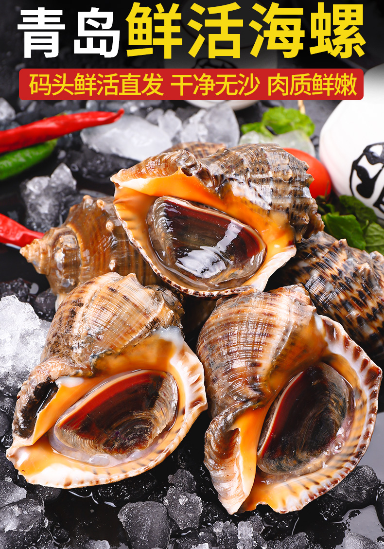 贝类大海螺鲜活生猛海鲜1500g【图片 价格 品牌 报价】-京东