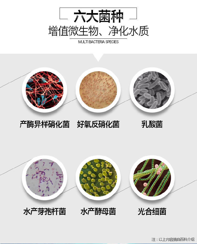 壹诺活体硝化细菌活菌硝化菌水族酸奶益生菌水质稳定剂维他命一诺升级
