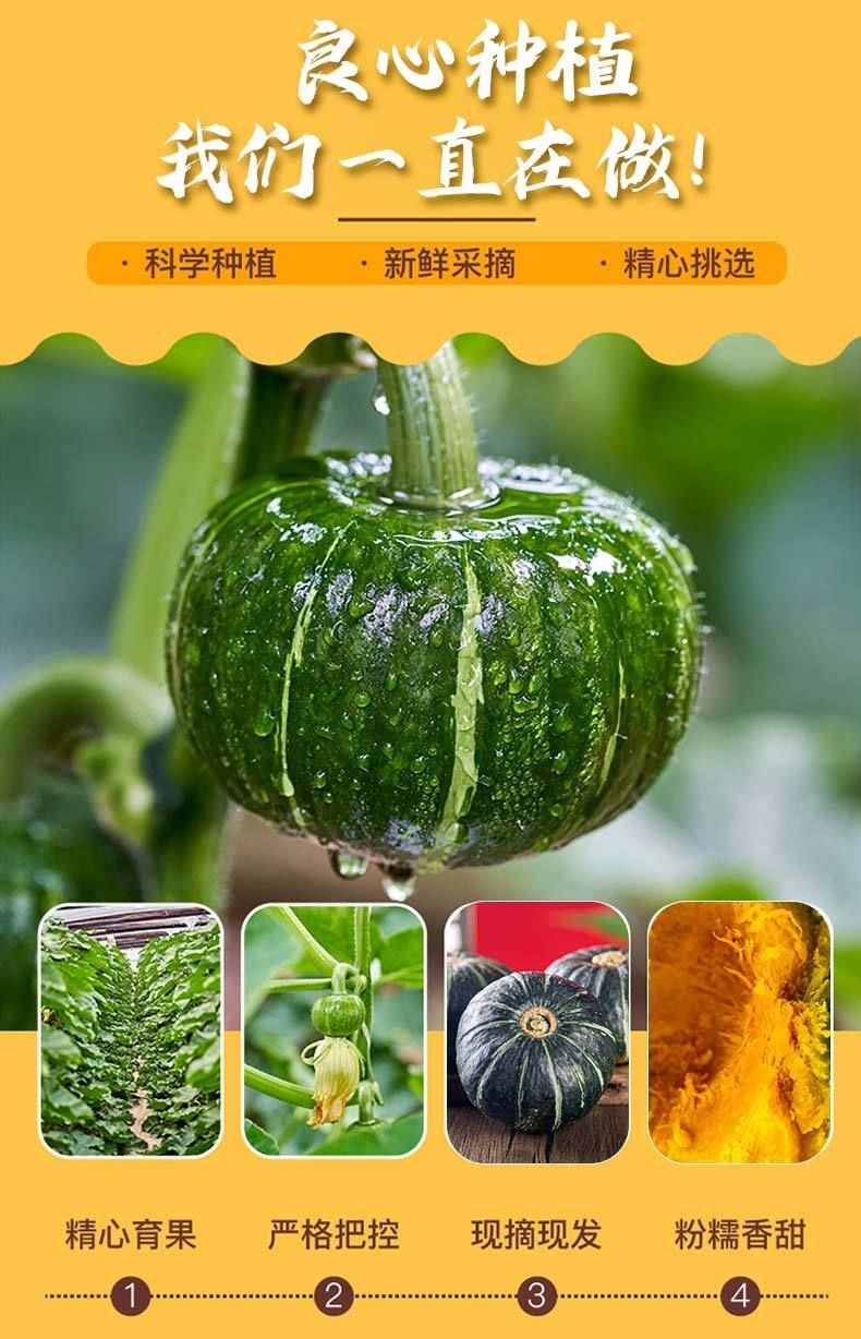 【中秋热购】贝贝南瓜品种日本纯种源惠和一号山东仓3斤5斤 贝贝南瓜3