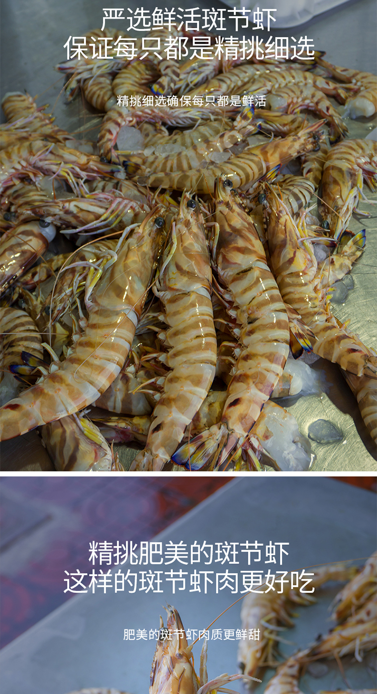 斑节虾九节虾鲜活竹节虾海捕大虾对虾基围虾顺丰鲜木去头虾2盒共500g