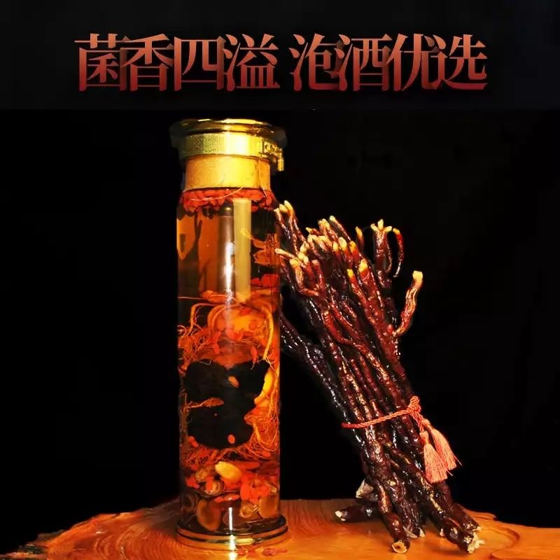 灵芝草长白山鹿角灵芝草泡酒泡水灵芝草整枝灵芝草中草药灵芝草250克