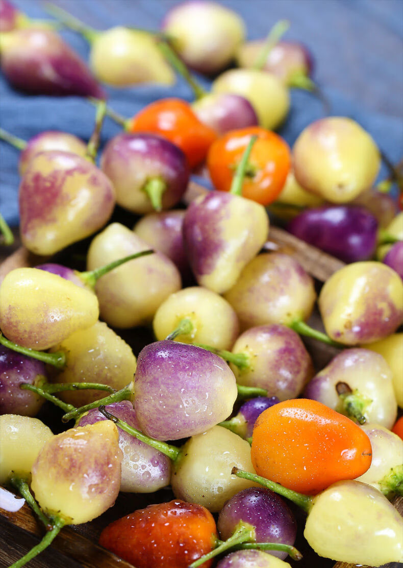 七彩椒新鲜现摘农家特产产地直发5斤统果大小混装泡椒专用