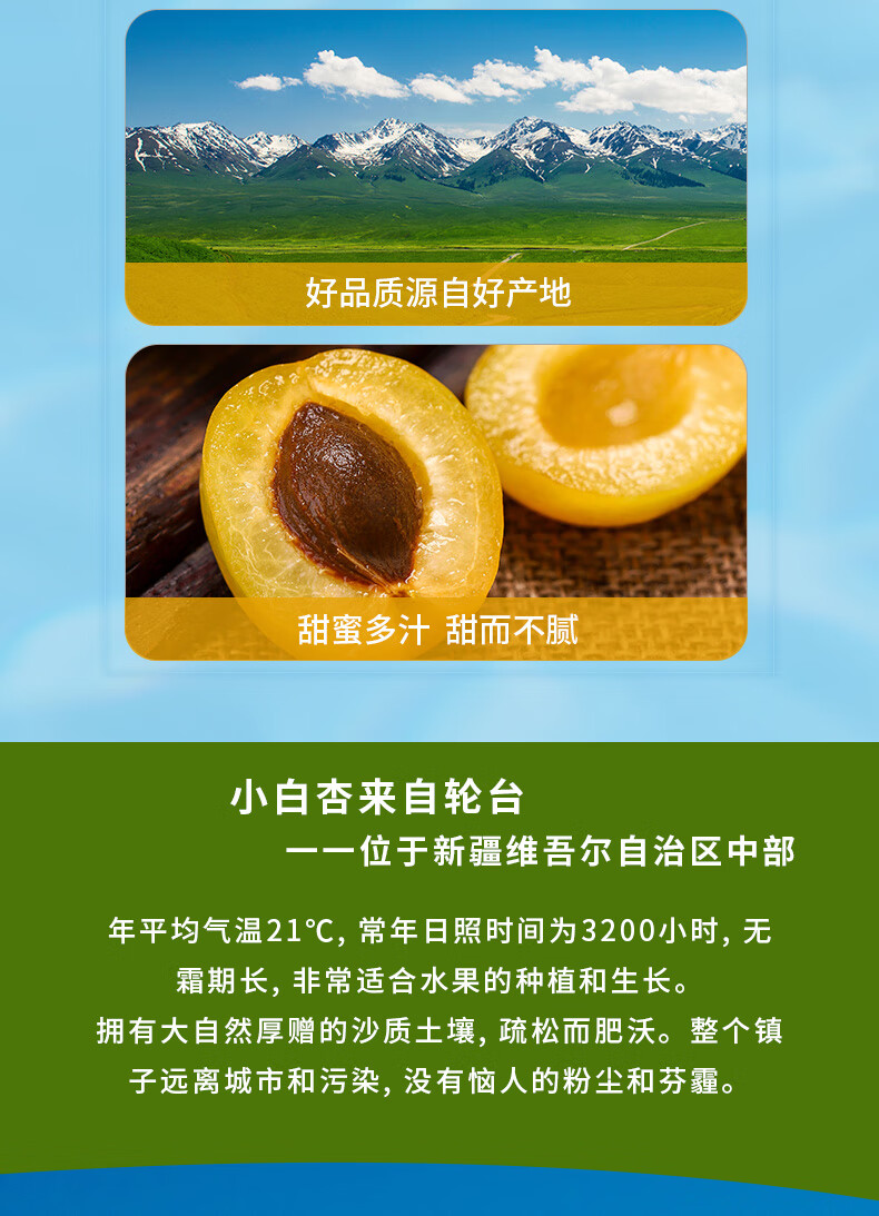 (顺丰)正宗新疆小白杏 库车轮台甜杏 新疆水果 新鲜