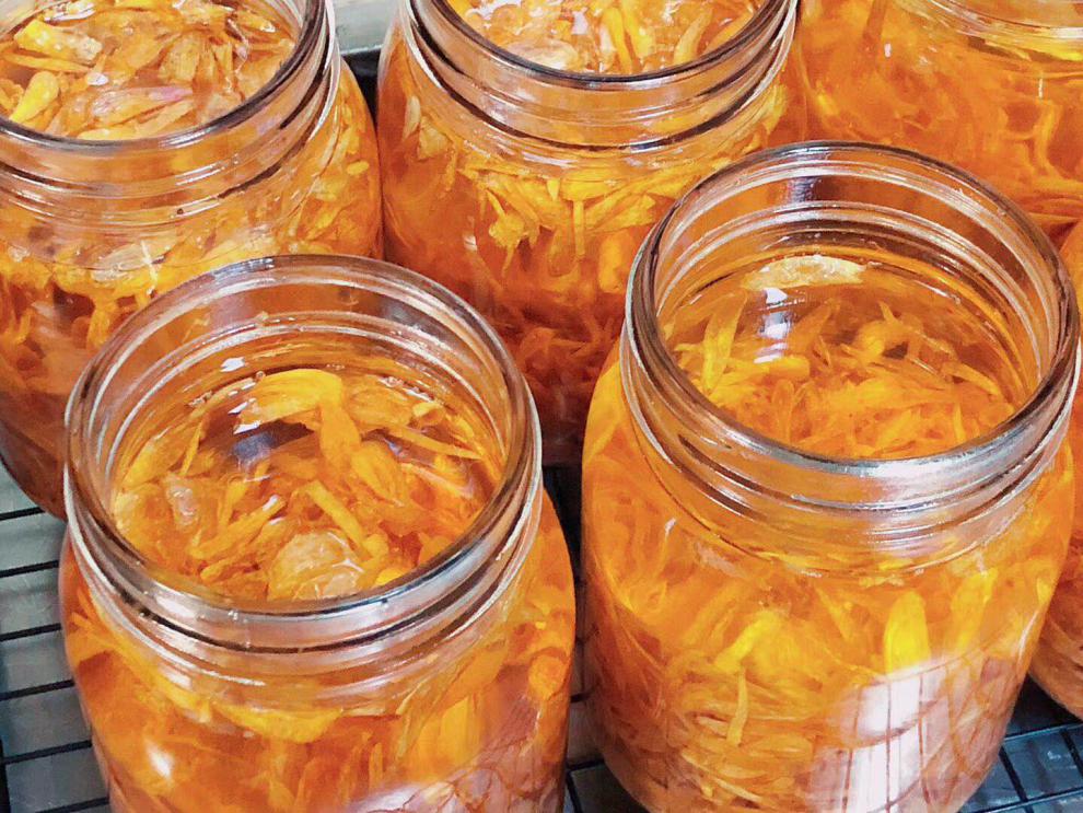 新鲜鹅油食用鹅板油冷冻鹅5000克10斤装新油鹅油 装新油鹅油【图片