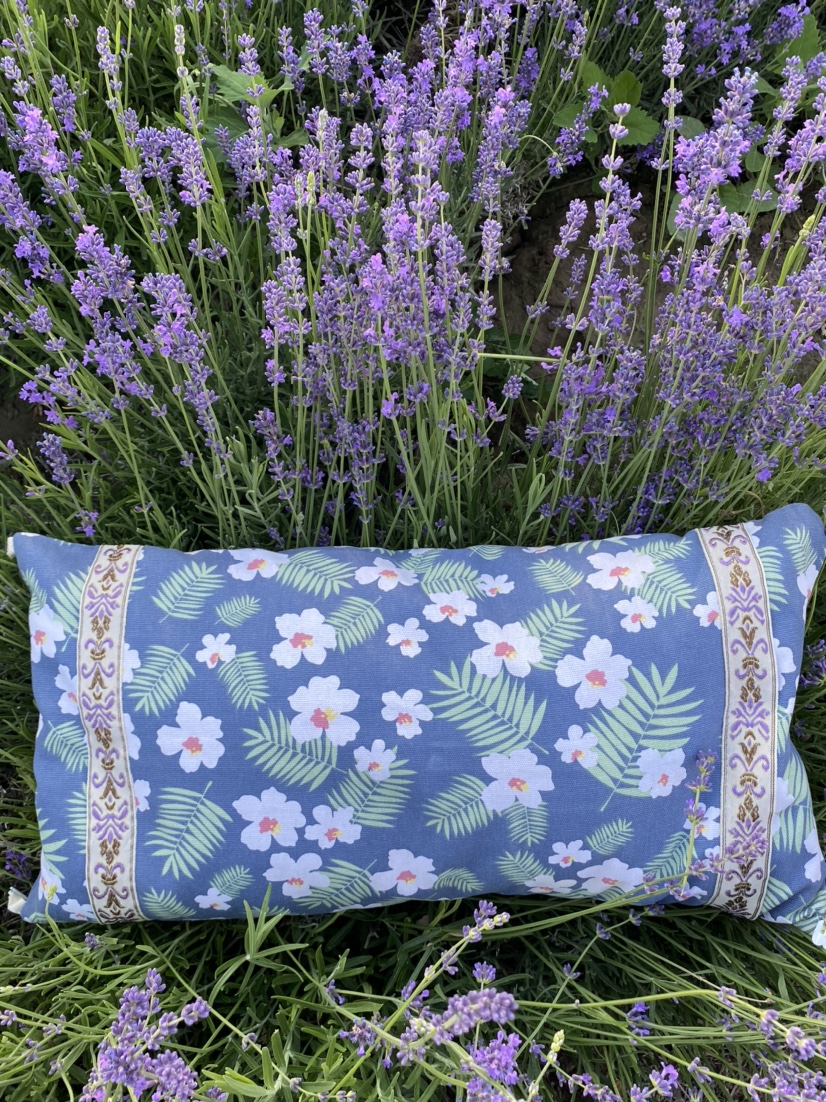新疆伊犁纯薰衣草枕头 薰衣草填充纯花枕头小方枕头单个装安神眠驱蚊