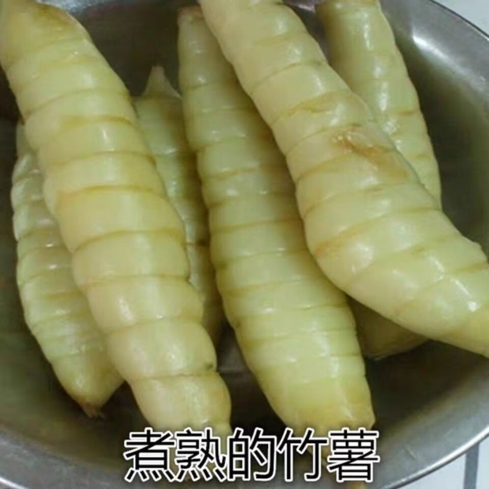 广东康仔生鲜竹薯冬粉薯竹薯小竹根薯煲汤火锅底料同款3斤