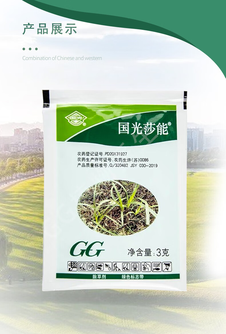隆马尼拉黑麦草禾本科草坪里防除香附子莎草回头青三菱草农药除草剂3g