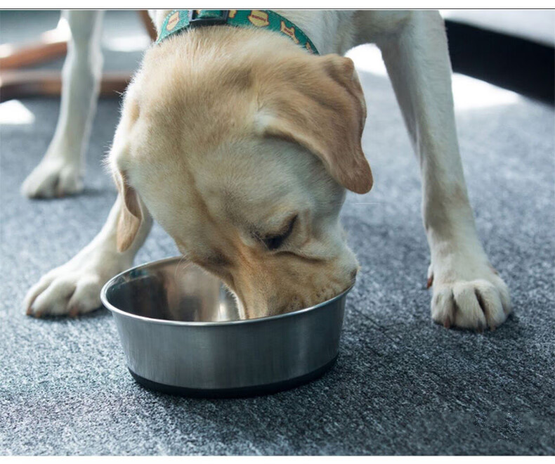 飞嘟乐狗食盆中大型犬防滑不锈钢狗碗饭盆狗狗猫用品大号狗盆防滑碗玫