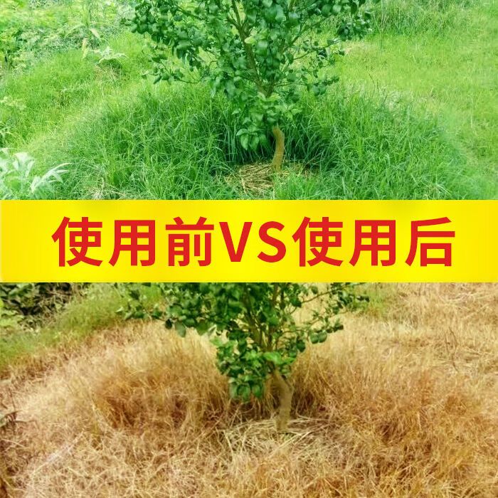 敌草快敌草怏块二氯盐家用荒山果园沟渠公园灭生性杂草除草剂180g