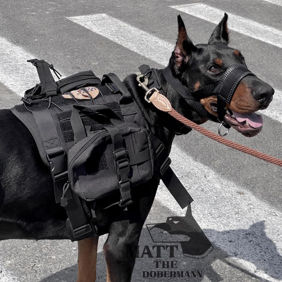 【杜宾马特】同款狗狗战术背心 狗衣服大型犬户外胸背带牵引马甲 黑色