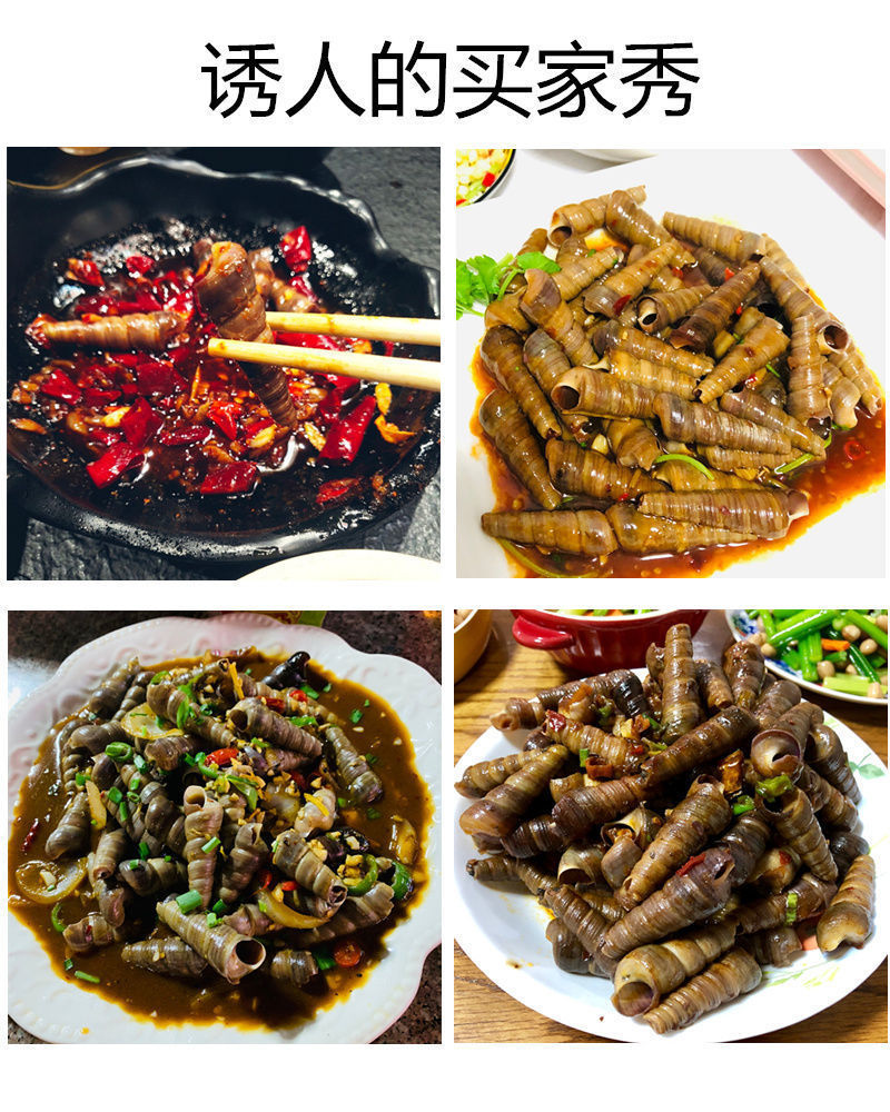 尖螺海螺丝新鲜钉螺冷冻长尾螺海锥烧烤泥螺海鲜1斤带尾不够吃不推介