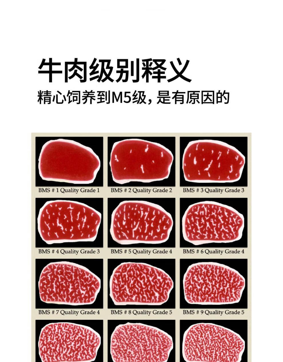 神泽雪花牛肉m5安格斯牛仔骨原切新鲜谷饲牛排烤肉食材火锅牛小排m5