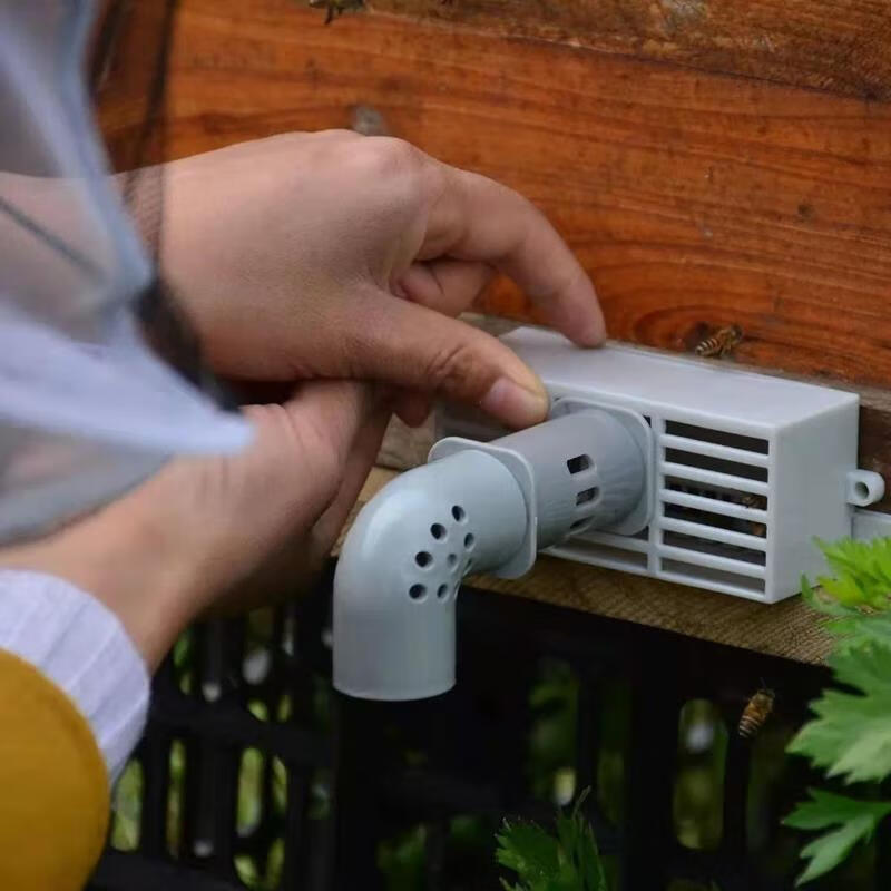 中蜂自动分蜂器多功能分收蜂器无人值守收蜂神器收王器自动收蜂器