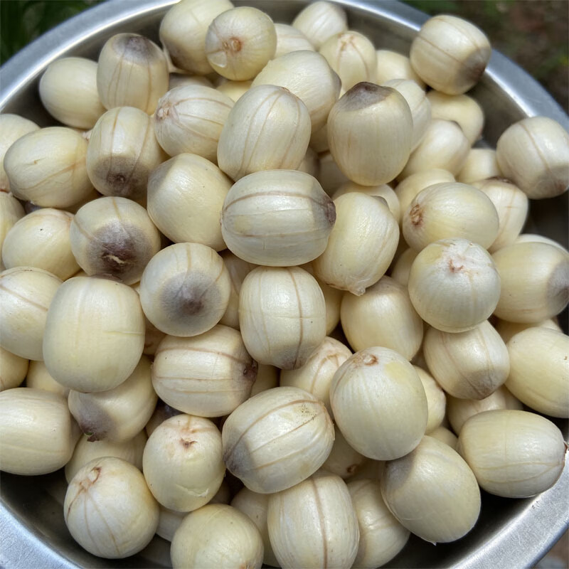 新鲜成熟莲子去壳鲜莲肉 带膜江西广昌特产炖汤粉糯
