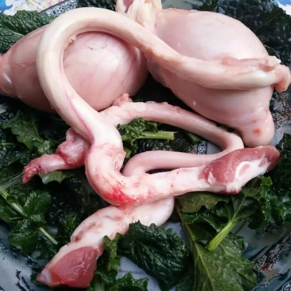 羊宝 羊腰子 羊鞭 羊 羊睾丸 羊三宝 当天现宰急冻锁住营养 鲜羊腰