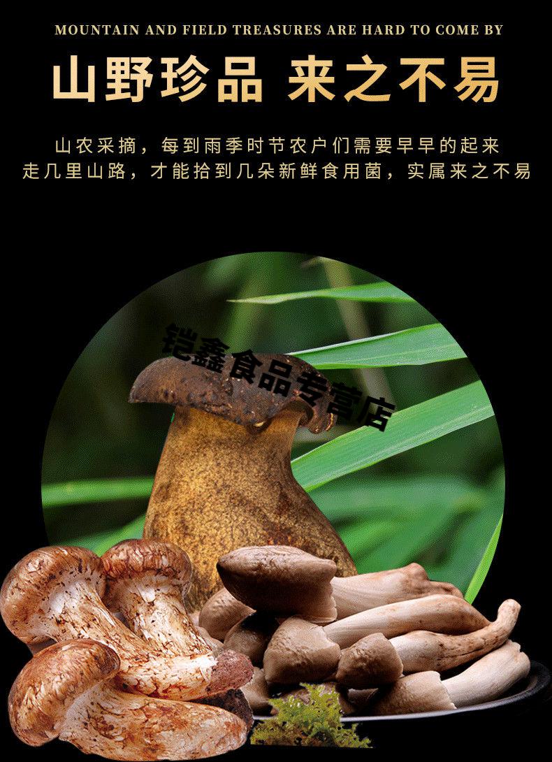 云南特产牛肝菌鸡枞菌松茸菌460g瓶装云南山珍即食下饭