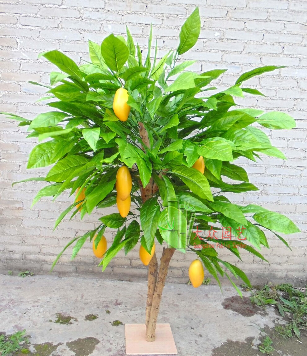 可狄(kedi)仿真假果树仿真树盆景仿真芒果树假芒果树水果档超市水果