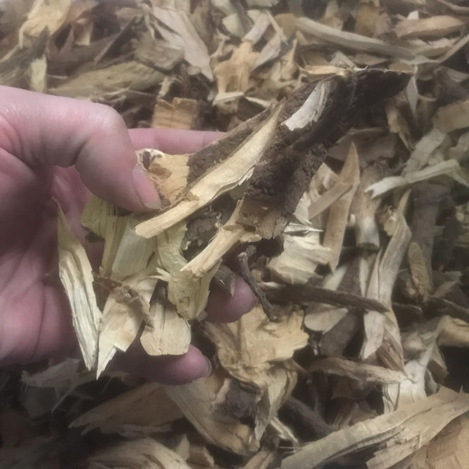 祛湿行胃气生草药黄皮果树根黄皮根煲鸡汤500克【图片 价格 品牌 报价