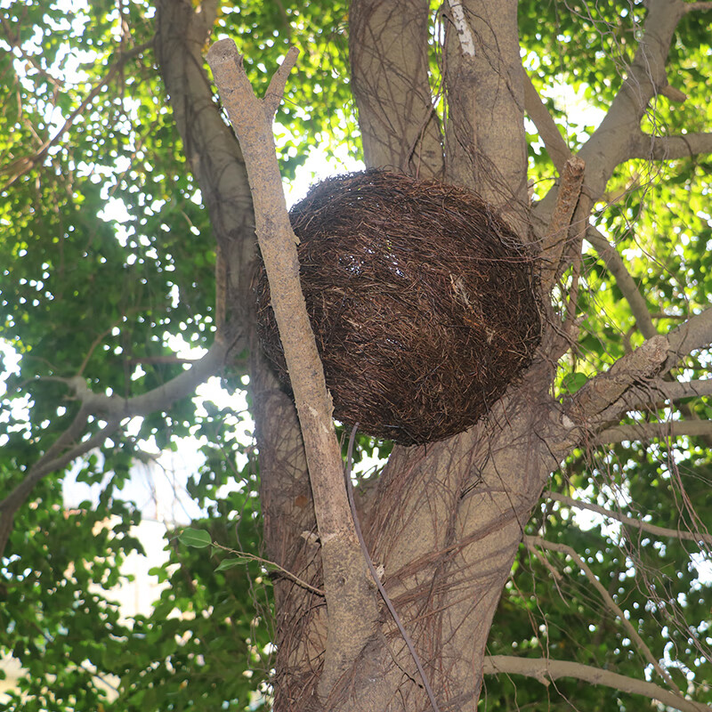 仿真树藤穿线管空心管户外保护电缆电线导线管装饰仿真树藤护套管嘉际