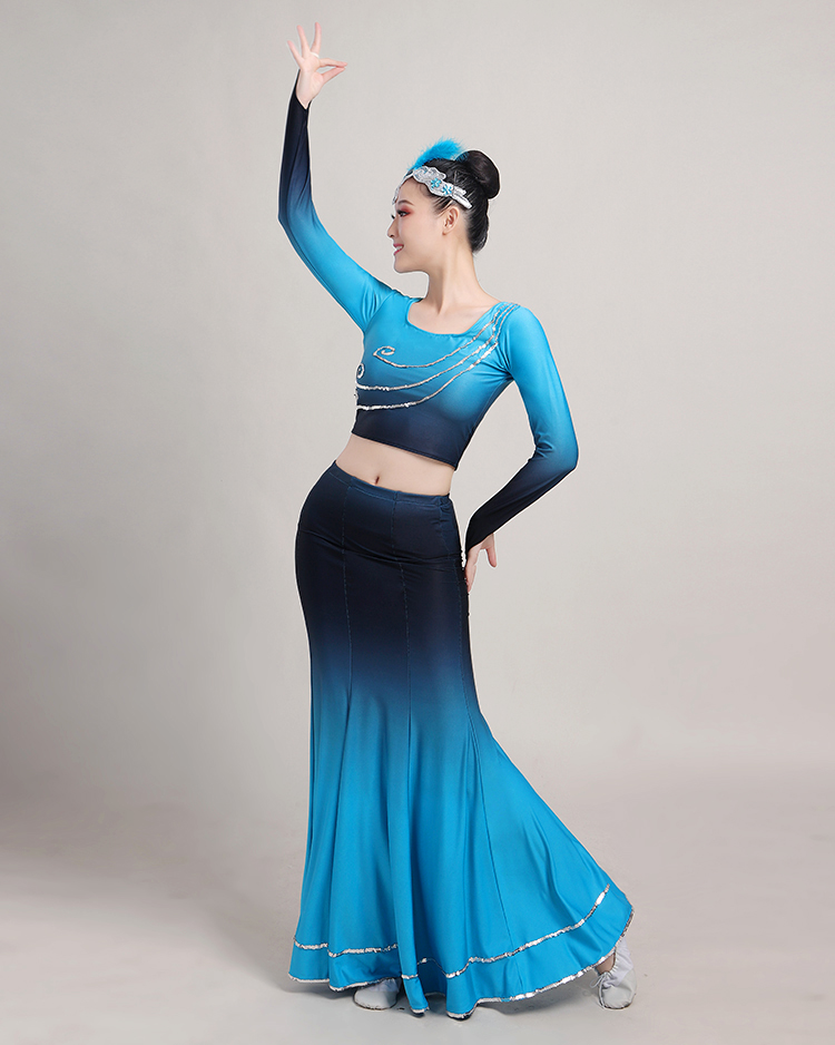 儿童傣族舞蹈服装演出服女云南孔雀舞包臀鱼尾裙艺考黑蓝渐变长袖xs
