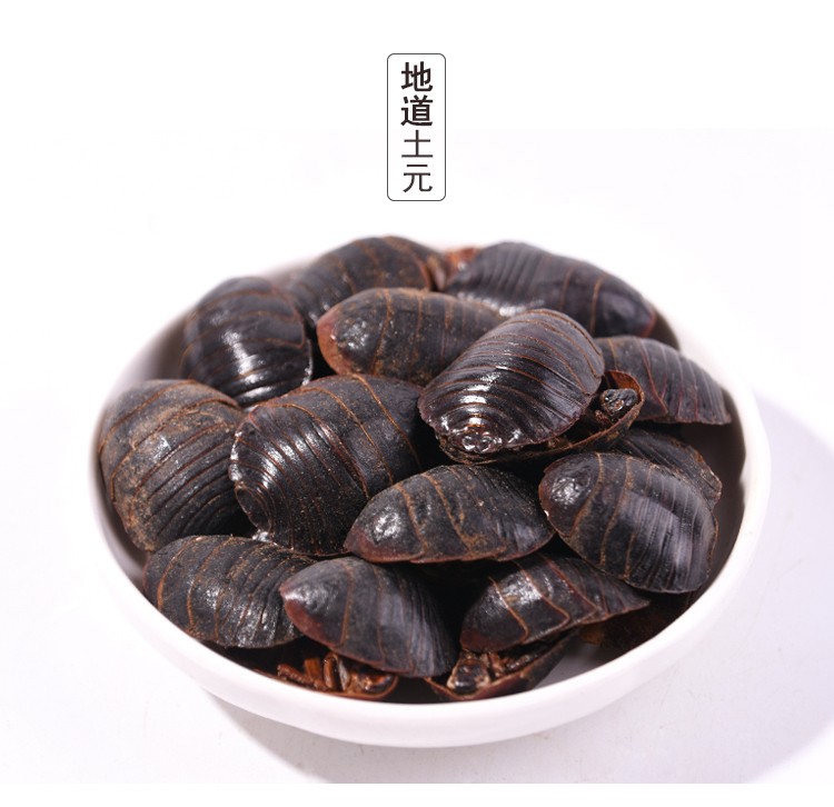 特级土元 250g克 节节虫土鳖虫地鳖虫 蛰虫 默认规格值【图片 价格