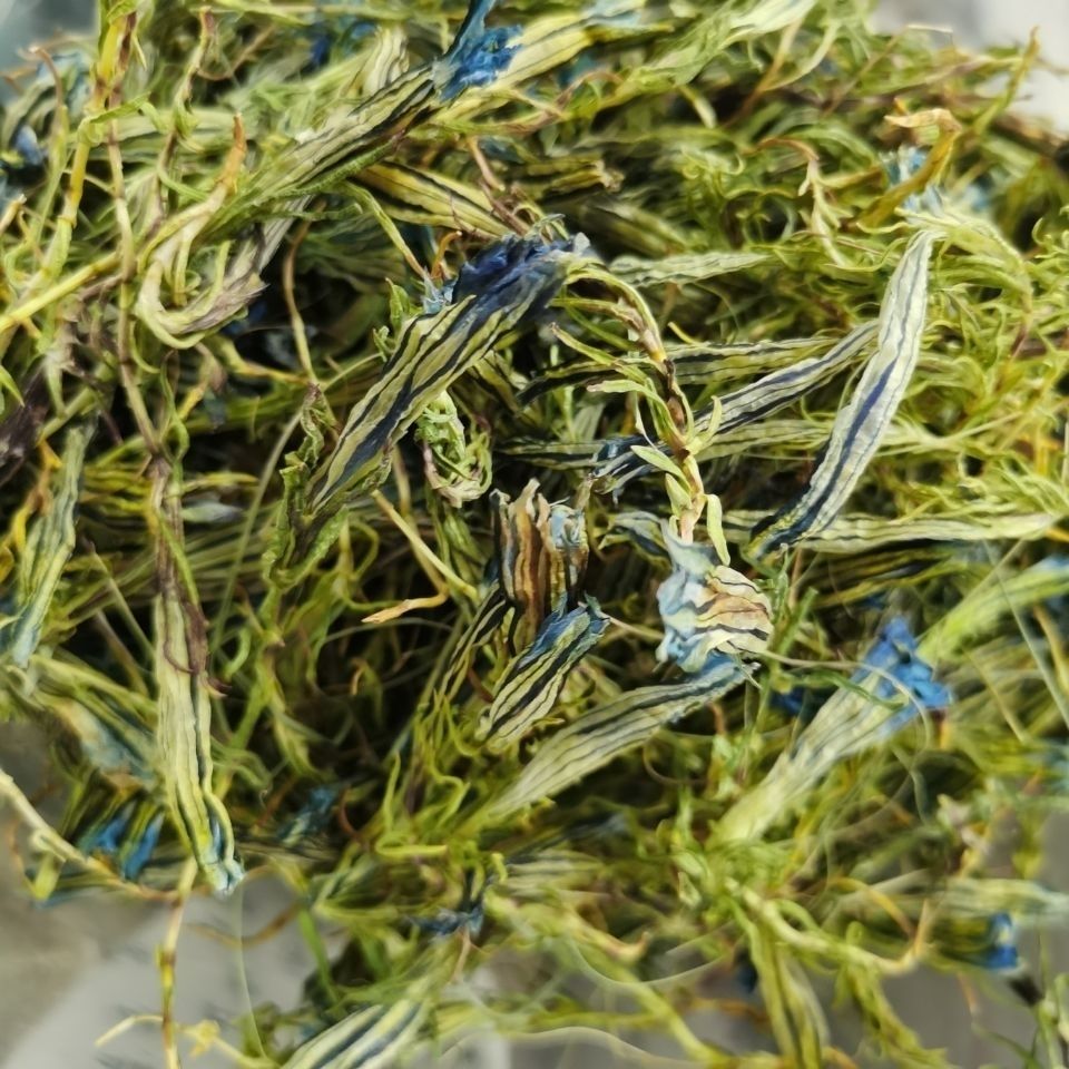 北京同仁堂原料西藏特产野生高品质龙胆花虞美人龙胆草植物花草茶清热