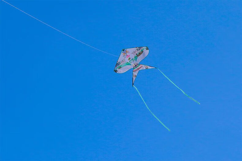 2022新款中国风国潮仙鹤风筝大人成人专用网红沙燕微风易飞风筝风筝