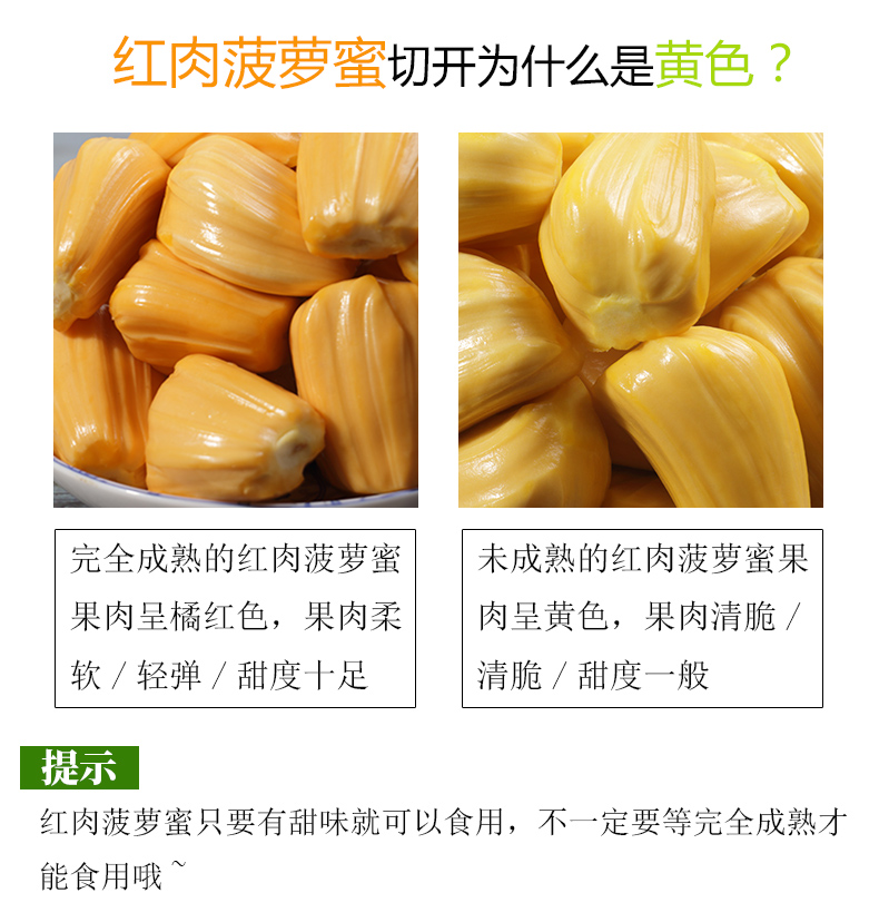 红肉菠萝蜜新鲜水果一整个甜蜜当应季孕妇水果整箱红心波罗蜜 15-18斤