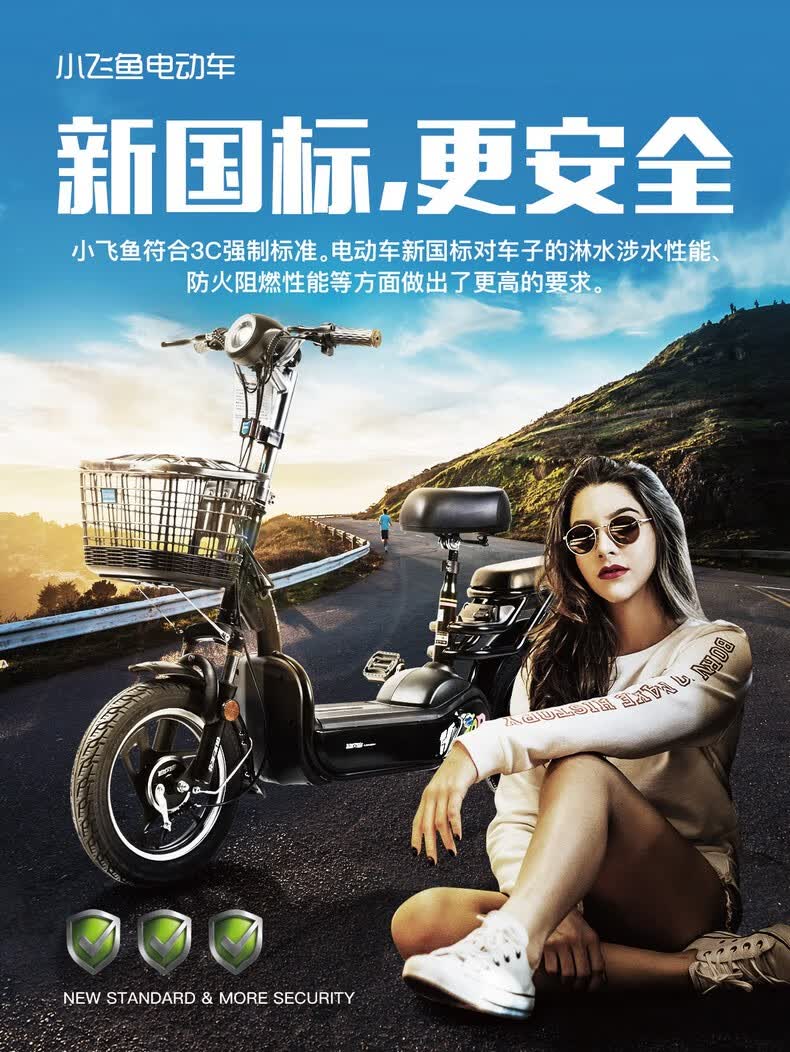 追风鸟自行车新款国标3c滑板车 48v12a小飞鱼 2a小飞鱼【图片 价  