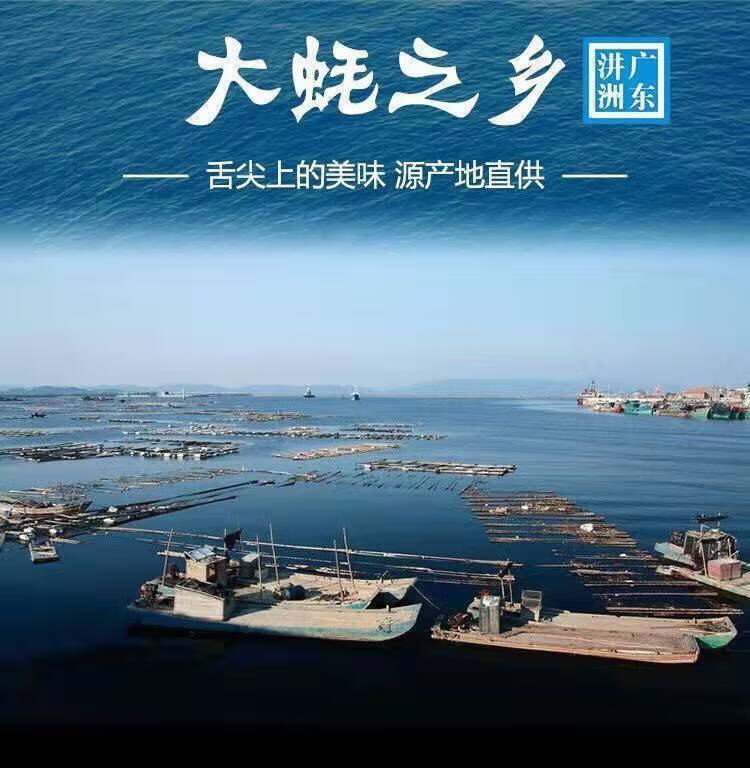 生蚝新鲜活现剥去壳生蚝肉肥大牡蛎肉生吃烧烤海蛎肉大蚝之乡1斤生蚝