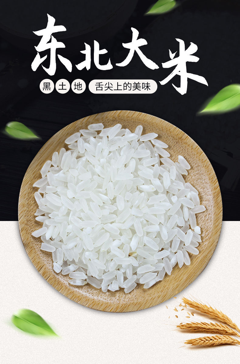 东北大米10斤珍珠米2020新米批发5斤黑龙江长粒香米杂粮米饭珍珠米10